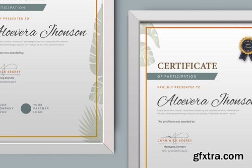 Certificate Diploma Template Pro