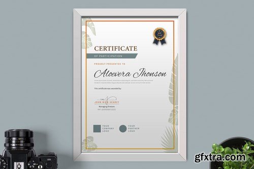 Certificate Diploma Template Pro