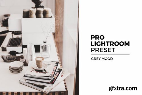 Grey Mood Lightroom Preset