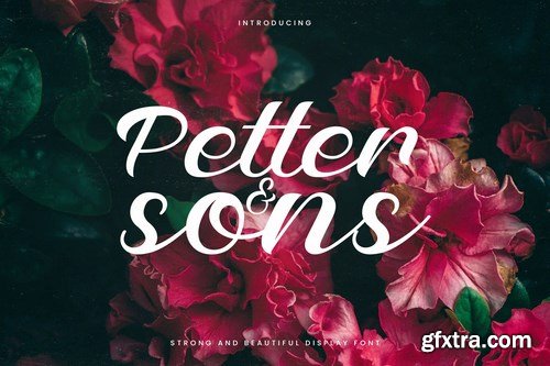 Petter And Sons - Romantic Beauty Script