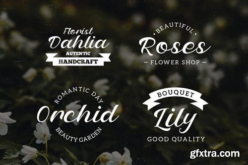 Petter And Sons - Romantic Beauty Script