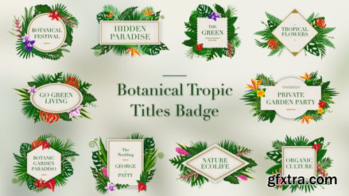 VideoHive Tropical Titles Badge 23389450