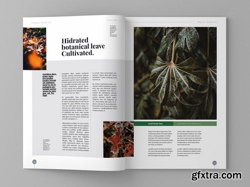 Super Plantae - Magazine Template