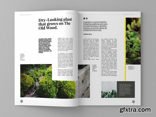 Super Plantae - Magazine Template