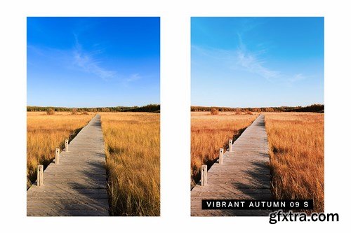 CM - 30 Autumn Enhancer Lightroom Presets 4237494