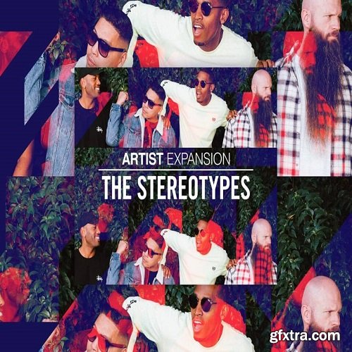 Native Instruments Artist Expansion The Stereotypes v1.0.0 DVDR-SYNTHiC4TE