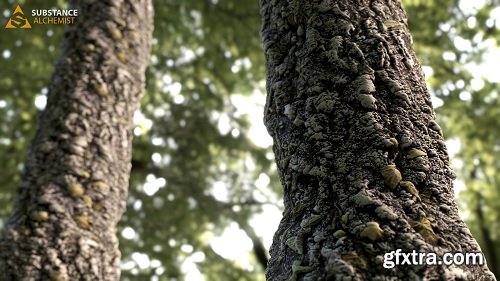 Tree Trunk - PBR Material