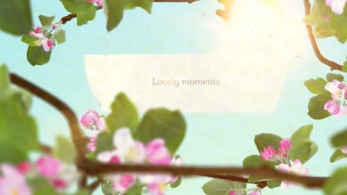 Udemy - Lovely Moments