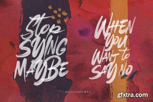 CM - Astude & Dude SVG Font & Solid 4237383