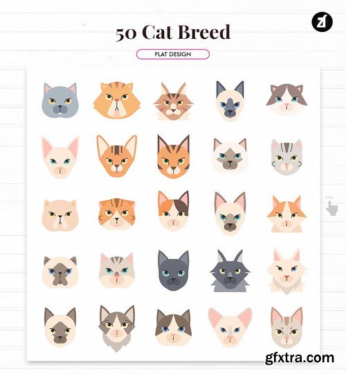 50 Cat breed elements