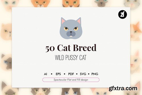 50 Cat breed elements