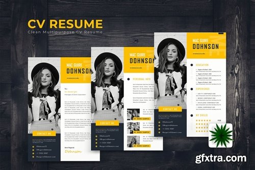 Stylish Resume Template