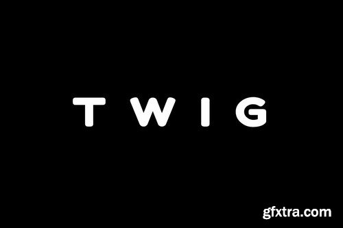 CM - TWIG - Unique Display Headline  Logo Typeface 4245324