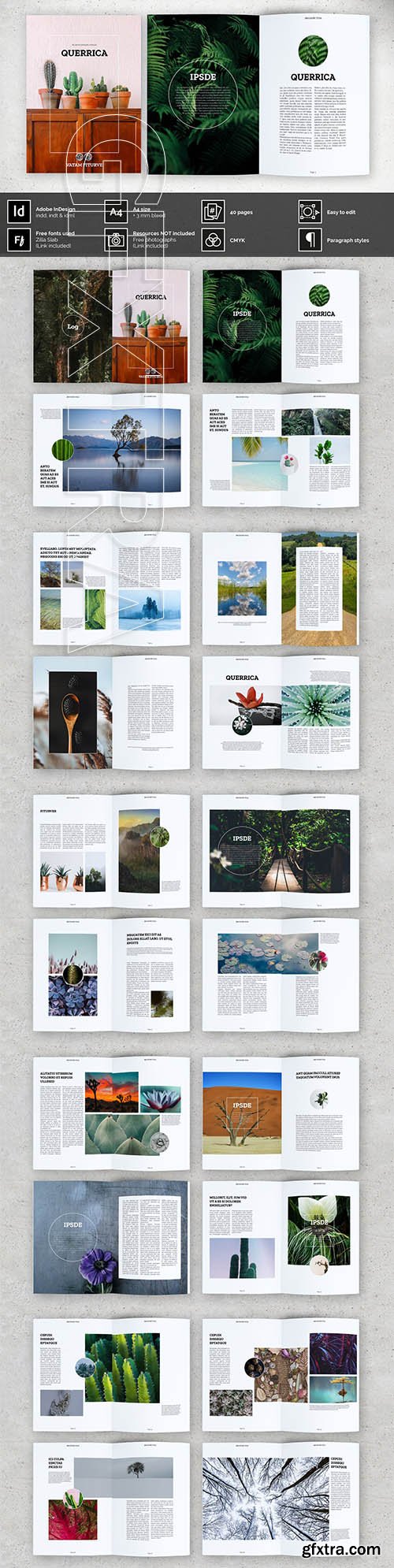 CreativeMarket - TANTALUS Multipurpose brochure 4230899