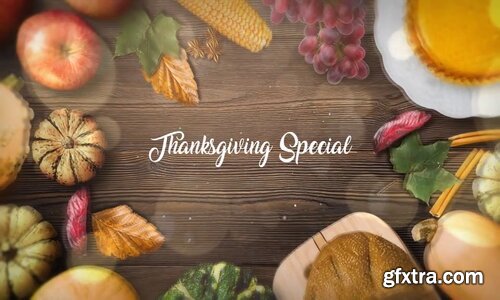 Videohive - Thanksgiving Special Promo - 22822514