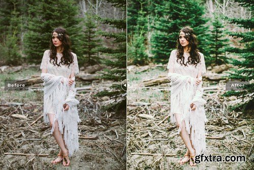 Evergreen Mobile & Desktop Lightroom Presets