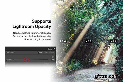 50 Forest Lightroom Mobile and Desktop Presets