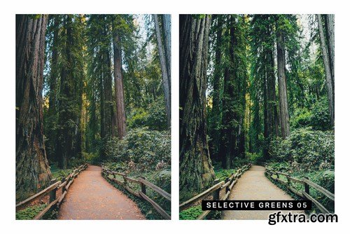 50 Forest Lightroom Mobile and Desktop Presets