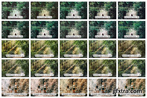 50 Forest Lightroom Mobile and Desktop Presets