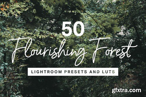 50 Forest Lightroom Mobile and Desktop Presets