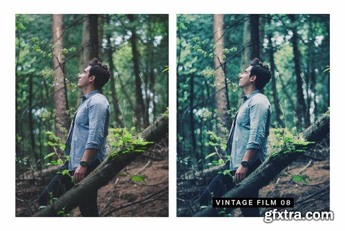 50 Forest Lightroom Mobile and Desktop Presets