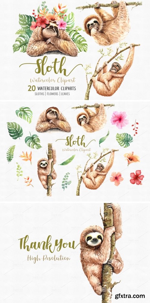 Sloth. Animals Watercolor Clip Art 1949440