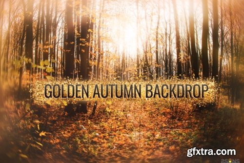 Autumn Golden Backdrop for Photographers 1948986