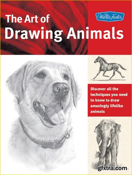 The Art of Drawing Animals