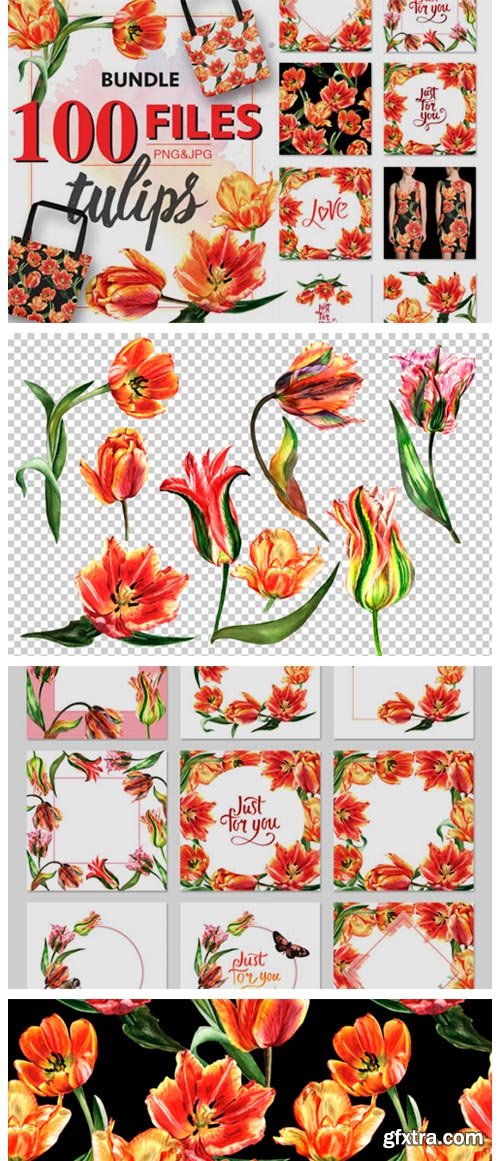 Tulip Red PNG Watercolor Flower Set 1943277