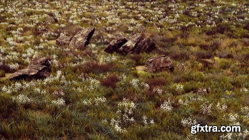 HQ Photographic Textures Grass Pack Vol.1 v1.6