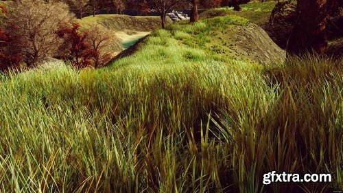 HQ Photographic Textures Grass Pack Vol.1 v1.6