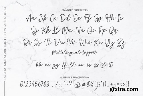 CM - Talliya Signature Font 4252625