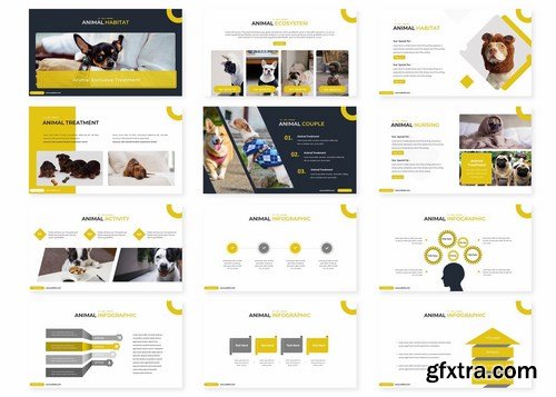 The Pets - Powerpoint Google Slides and Keynote Templates