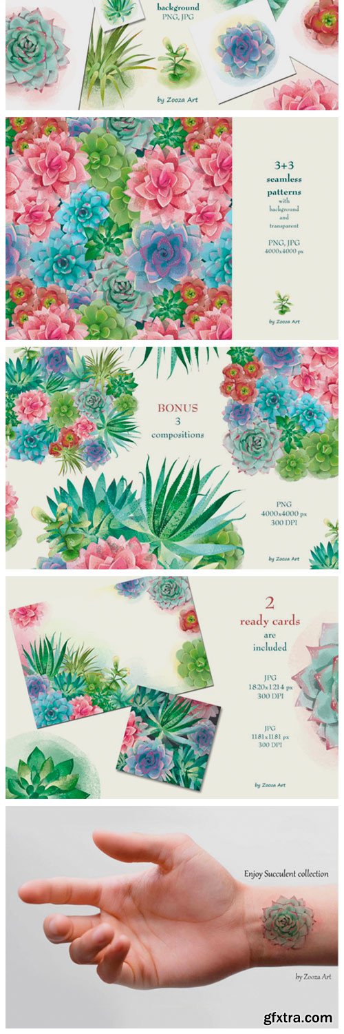 Succulents Illustrations and Patterns 1956501