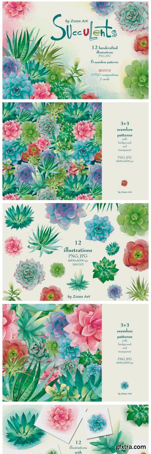 Succulents Illustrations and Patterns 1956501