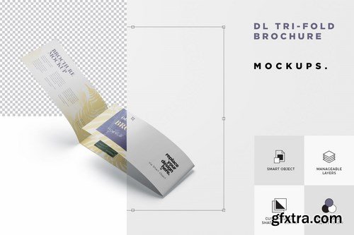 DL Tri-Fold Brochure Mock-Up Set