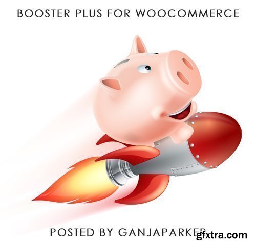Booster Plus for WooCommerce v4.6.0 - NULLED