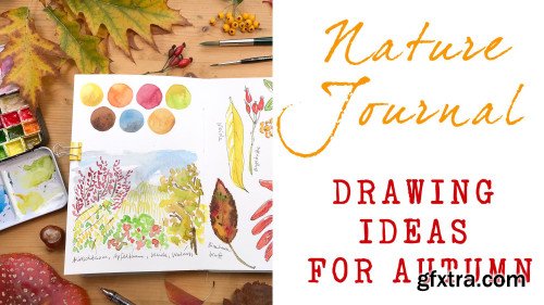 Nature Journal - Drawing Ideas For Autumn