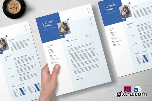 Professional CV Resume - 05