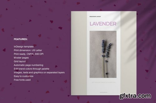 CreativeMarket - Lavender Brochure Layout 4166622