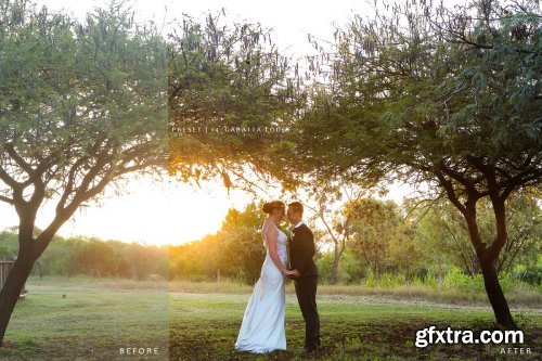 CreativeMarket - Lightroom Wedding Presets | Gabatta 4144108