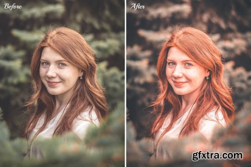 CreativeMarket - Light & Orange Presets Pack 4141879