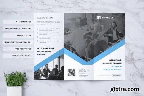 BRANDS Professional Business Trifold Flyer