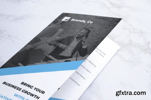 BRANDS Professional Business Trifold Flyer