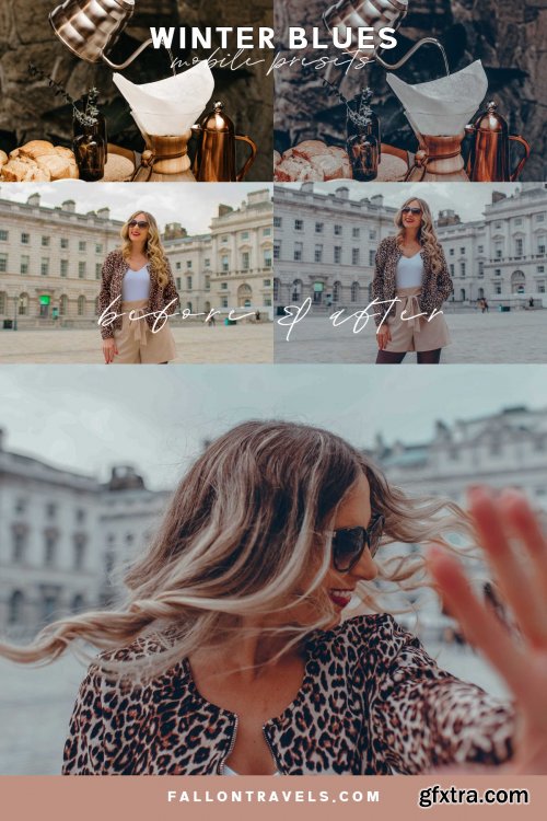 CreativeMarket - Winter Blues Mobile Presets 4079269