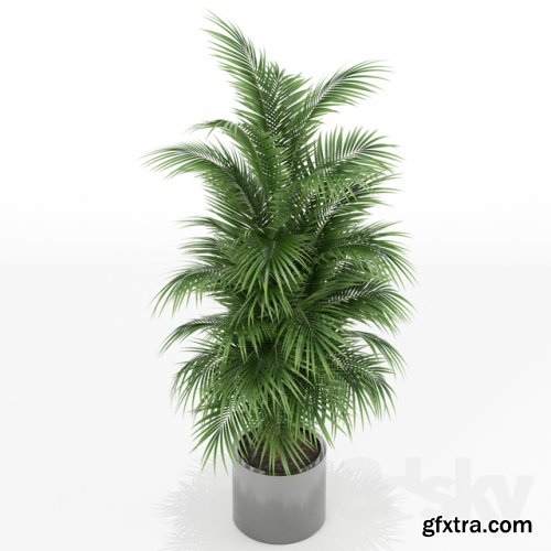 Plants collection 176 3D model