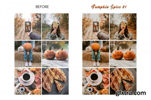 CreativeMarket - Moody PUMPKIN SPICE Mobile Presets 4156756