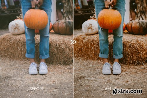 CreativeMarket - Moody PUMPKIN SPICE Mobile Presets 4156756