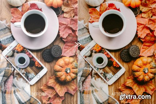 CreativeMarket - Moody PUMPKIN SPICE Mobile Presets 4156756