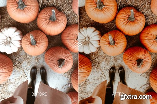 CreativeMarket - Moody PUMPKIN SPICE Mobile Presets 4156756